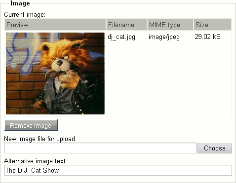 Object attribute edit interface for the "Image" datatype.