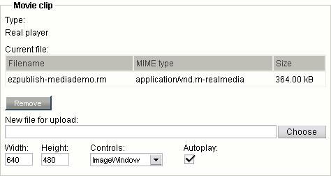 Object attribute edit interface for the "Media" datatype (Real Media).